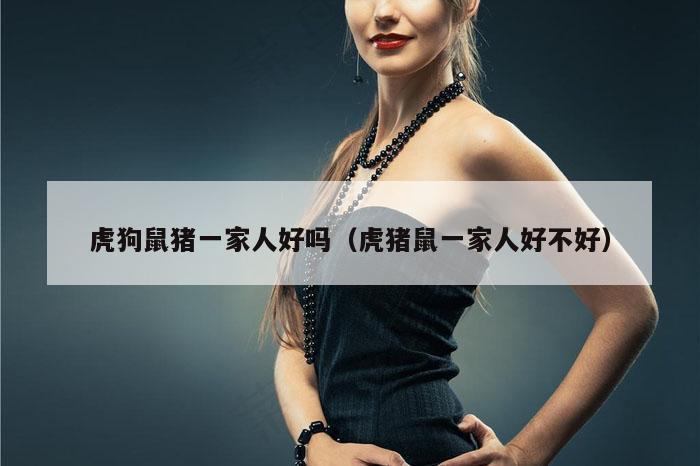 虎狗鼠猪一家人好吗（虎猪鼠一家人好不好）